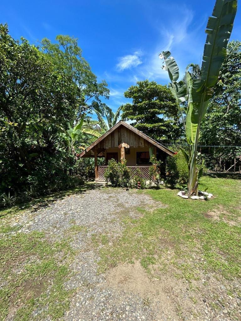 Ballena Oasis Homes & Glamping Uvita Exterior foto