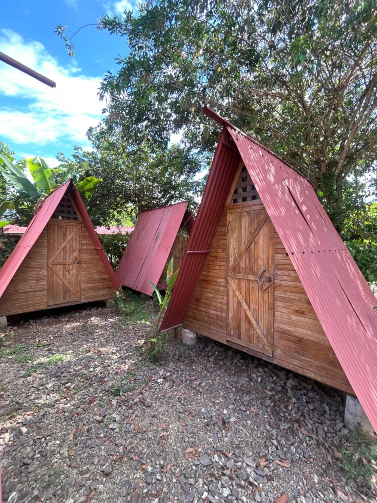 Ballena Oasis Homes & Glamping Uvita Exterior foto